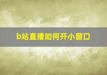 b站直播如何开小窗口