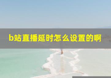 b站直播延时怎么设置的啊