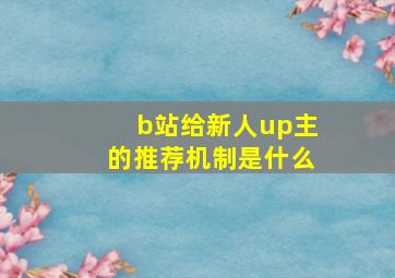 b站给新人up主的推荐机制是什么