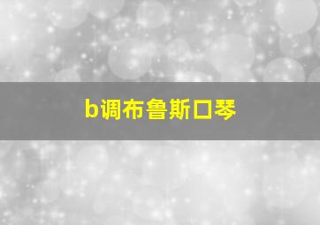 b调布鲁斯口琴