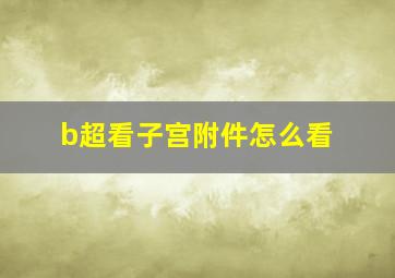 b超看子宫附件怎么看