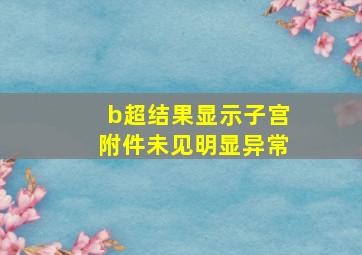 b超结果显示子宫附件未见明显异常