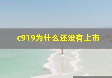 c919为什么还没有上市