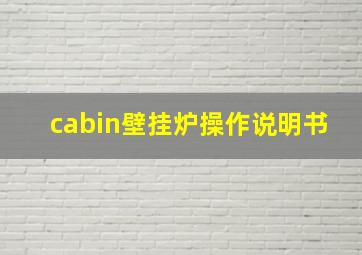 cabin壁挂炉操作说明书