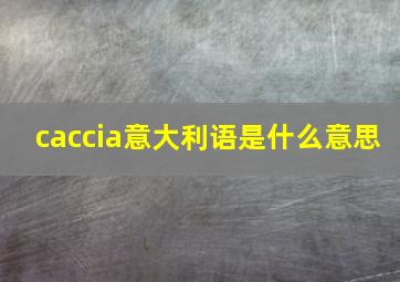 caccia意大利语是什么意思