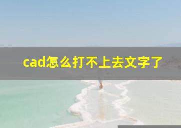 cad怎么打不上去文字了