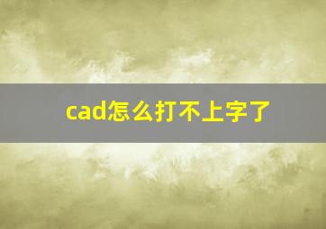 cad怎么打不上字了