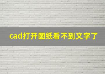 cad打开图纸看不到文字了