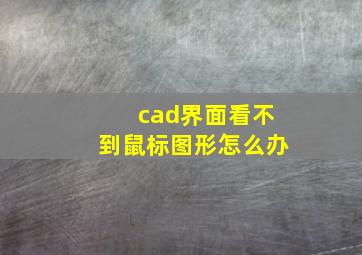 cad界面看不到鼠标图形怎么办