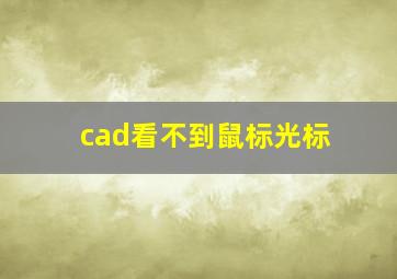 cad看不到鼠标光标