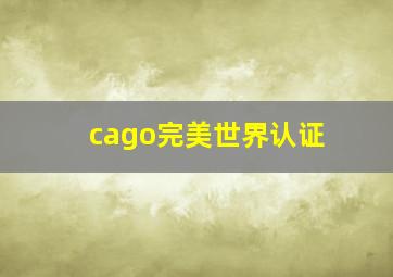 cago完美世界认证