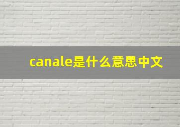 canale是什么意思中文