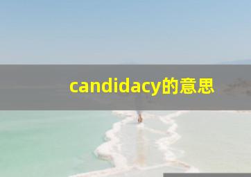 candidacy的意思