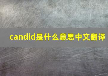 candid是什么意思中文翻译