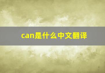 can是什么中文翻译