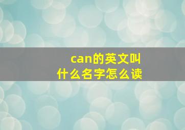 can的英文叫什么名字怎么读