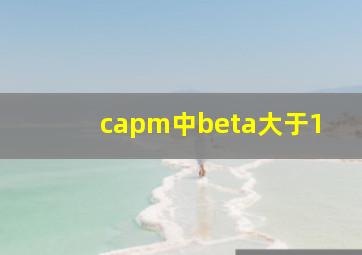 capm中beta大于1