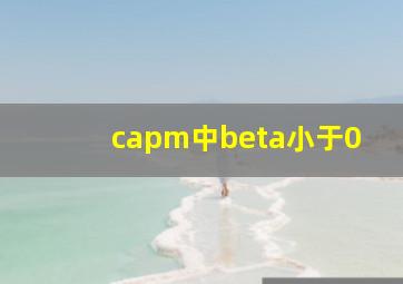 capm中beta小于0