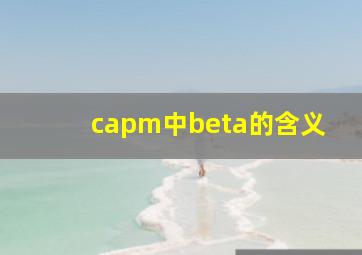 capm中beta的含义