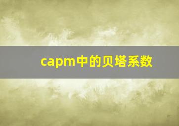 capm中的贝塔系数