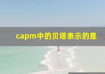 capm中的贝塔表示的是