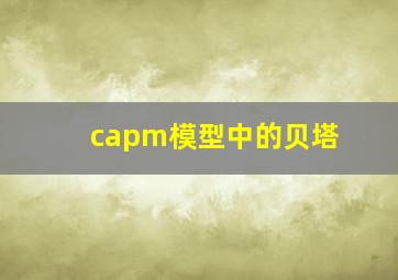 capm模型中的贝塔