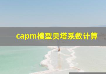 capm模型贝塔系数计算