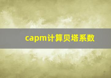 capm计算贝塔系数