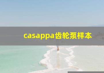 casappa齿轮泵样本