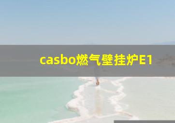 casbo燃气壁挂炉E1