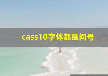 cass10字体都是问号