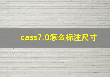 cass7.0怎么标注尺寸