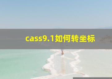 cass9.1如何转坐标