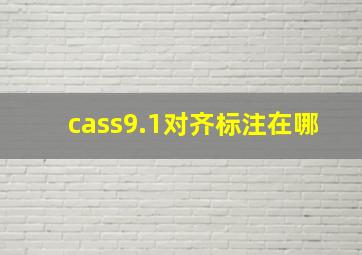 cass9.1对齐标注在哪