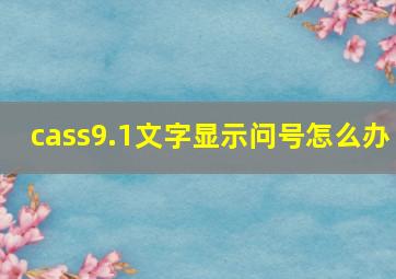 cass9.1文字显示问号怎么办