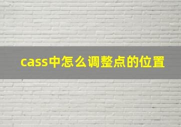 cass中怎么调整点的位置