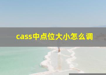 cass中点位大小怎么调