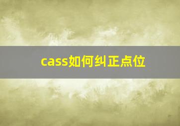 cass如何纠正点位