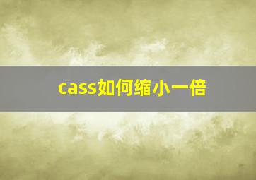 cass如何缩小一倍