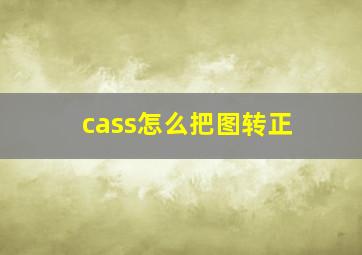 cass怎么把图转正