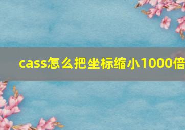 cass怎么把坐标缩小1000倍