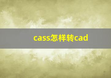 cass怎样转cad