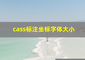 cass标注坐标字体大小