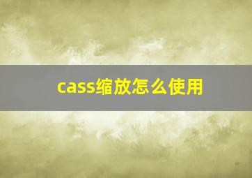 cass缩放怎么使用