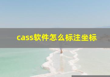 cass软件怎么标注坐标