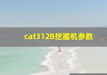 cat312B挖掘机参数