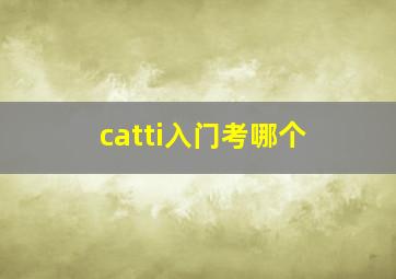 catti入门考哪个