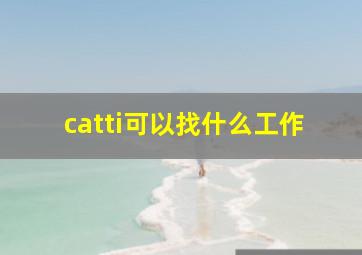 catti可以找什么工作