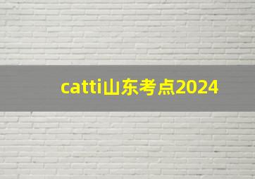 catti山东考点2024