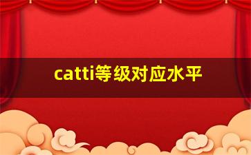 catti等级对应水平